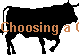 Choosing a Cow