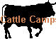 Cattle Camps