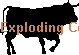 Exploding Cows